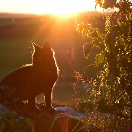 Apartmán Heuboden Amtzell