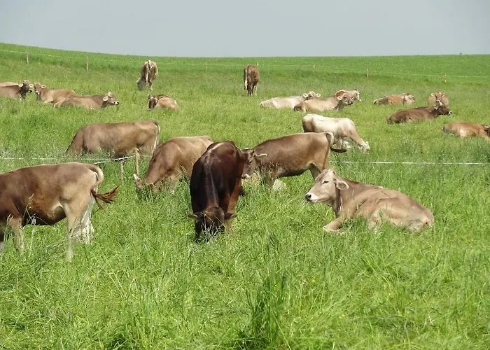 Διαμέρισμα Heuboden *